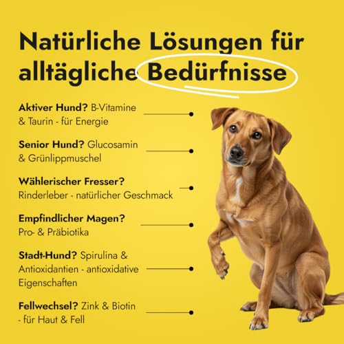 Petstile Canine Booster mit Grünlippmuschel-Extrakt für Hunde - Expertenformulierte Superfood-Mischung mit 26 Wirkstoffen - 150g Pulver