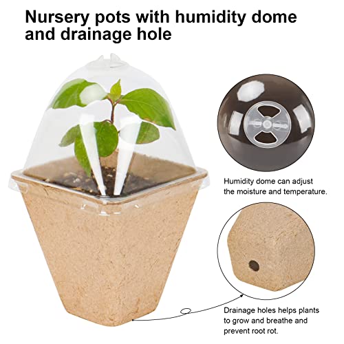 Guequitlex 50 Pack Nursery Pots With Humidity Dome 3.2 Inch Planting Containers Peat Pot With Drainage Hole Biodegradable Seed Starter For Plant Germination #TOP2