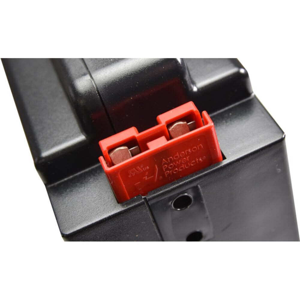 JAZGOT Batería de Litio para transpaleta F4, 24V, 20AH. 290 x 236 x 77 mm