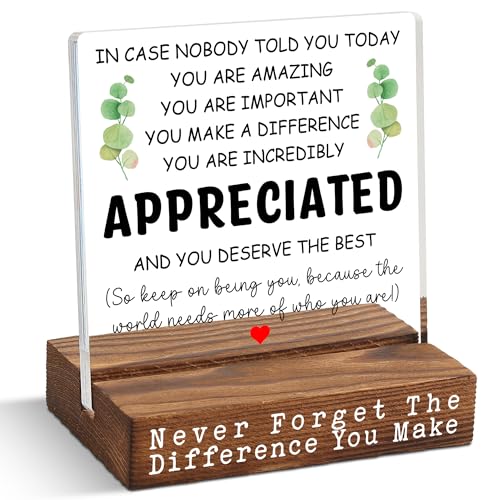 You Are Appreciated Acrylic Desk Sign for Coworker Employee Teacher Nurse, Encouragement Gift for Women Men, Inspirational Quote Office Decor, Thank You Keepsake for Birthday - FSF408