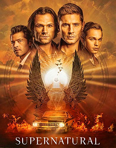 Amazon.com: MasonArts Supernatural Season 15 14inch x 18inch Silk