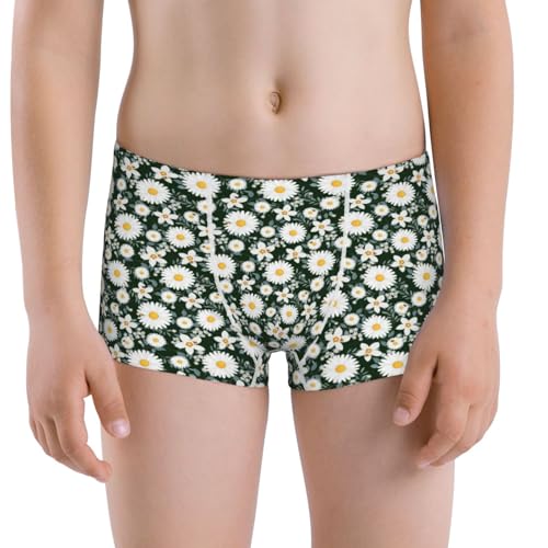 Boys' Cotton Boxer Brief Soft Underwear-White Daisies And Bee