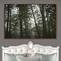 Framed Canvas Wall Art Rustic Woods Brown Dark Dramatic Forest Group Nature Photography Realism - 16x24 inches