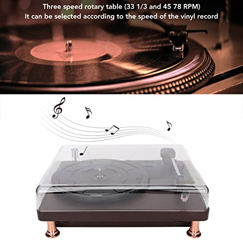 Tourne-Disque Vinyle, Platine Vinyle BT5.0 avec Haut-Parleur Stéréo HiFi, Platine Vinyle 3 Vitesses pour Disques Vinyles… - Les Beatles, Paul McCartney, John Lennon, RIngo Starr, George Harrison Tourne-Disque Vinyle, Platine Vinyle BT5.0 avec Haut-Parleur Stéréo HiFi, Platine Vinyle 3 Vitesses pour Disques Vinyles… – Image 5
