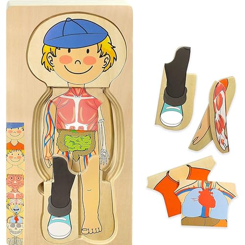 Kidzlane Boy Wooden My Body Puzzle for Toddlers & Kids - 29 Piece Boys Anatomy Puzzle Kid Play Set - Anatomy for Kids, Skeleton Toys for Children Ages 3 Plus