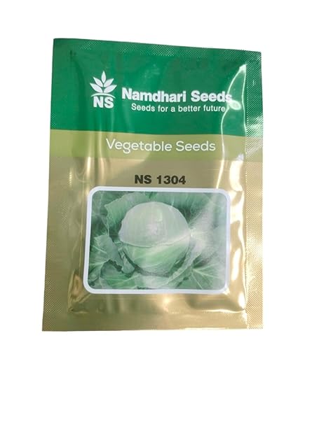 Namdhari Seeds NS 1304 Cabbage Seeds,