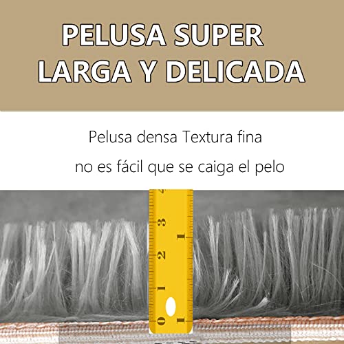 La Mejor Selección de Tapete decorativo del mes. 5 La Mejor Selección de Tapete decorativo del mes. 5