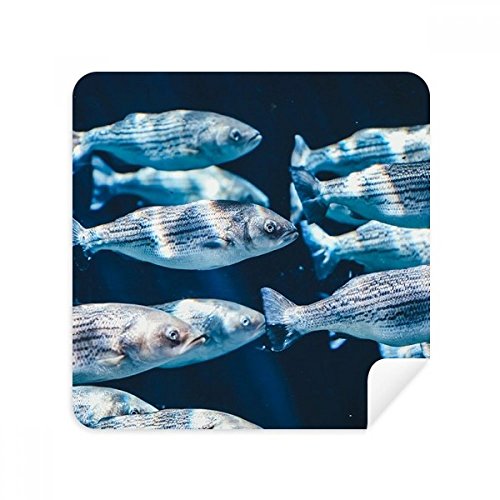 Tissu lunettes poissons tropicaux idéal pour nettoyer votre écran de téléphone