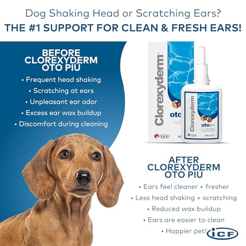 Clorexyderm Oto Più Ohrreiniger für Hunde und Katzen, 150 ml