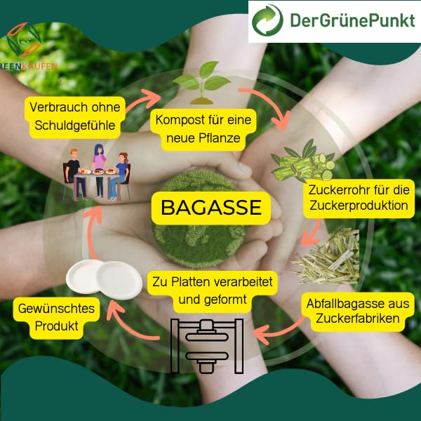 Bagasse - Lot de 50 bols rectangulaires avec couvercle - 1 l - Boîtes à emporter biodégradables - Anti-fuite et passent au micro-ondes - Emballage jetable pour restauration, Takeaway et