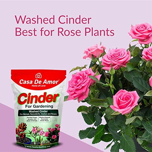Image of Casa De Amor Cinder for Gardening, Washed, for Bonsai, Succulents, Cactus and Roses Soil Mix (Also Called Sinder) (900 gm)