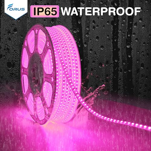 Image of Forus 40 Meter LED Rope Strip Light | Waterproof Outdoor Flexible Decorative Lighting | LED Neon Rope Light for Diwali, Christmas, Balcony, Ceiling & Home Decor, Pink 1Pc with 4 Connectors