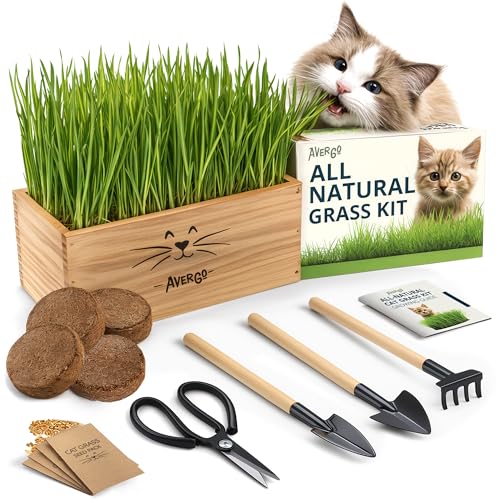 Cat Grass Kit for Indoor Cats – x4 Seed Packets...