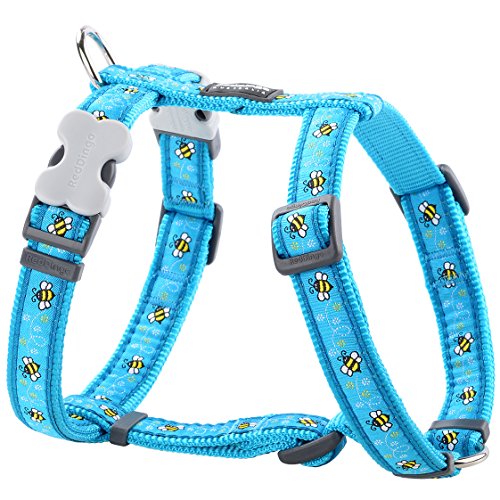 Harnais chien Red Dingo Bumblebee Turquoise finitions premium - 2