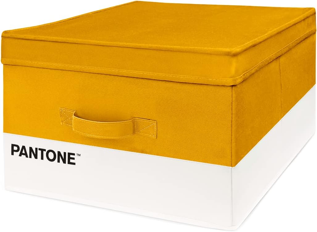 Portapiumone Pantone - Contenitore Armadio Salvaspazio Con Zip, Finestra PVC E Manici, 60x50x30 Cm - Foto 4
