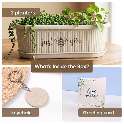 Image of Eha Earth-Friendly Printed Regalia Planters for Home Decor | 12 Inch, Pack of 2 Without Growmix | Plant Gifts Made with Rice Husk Biocomposite | Flower Pot for Living Room| Sand Castle
