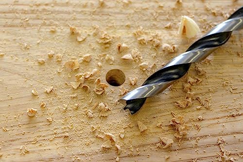 Fisch Fsf-321200 3/16-Inch High Speed Steel Double Flute Brad Point Drill Bit #TOP2