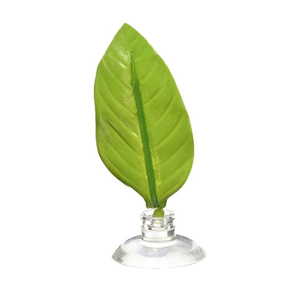 Betta Leaf Hamac, Feuille de Poisson d'ornement pour Aquarium Betta