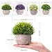 EKKONG Plantas Artificiales Suculentas Plásticas Flor pequeñas en Maceta para decoración del...