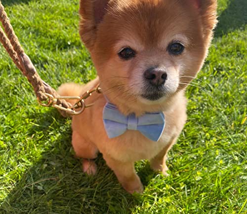 Velvet Dog Collar Personalized With Name Phone Number Engraved, Custom Pet Collars With Metal Buckle(Sky Blue, S) #TOP4