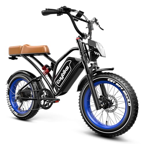 Electric Bike for Adults, 2000W Peak Motor with Removable 48V