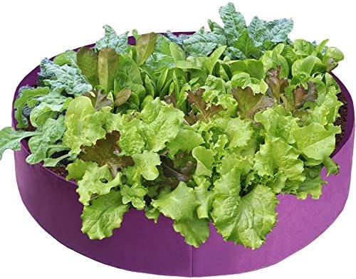 amazon vegetable bolsas