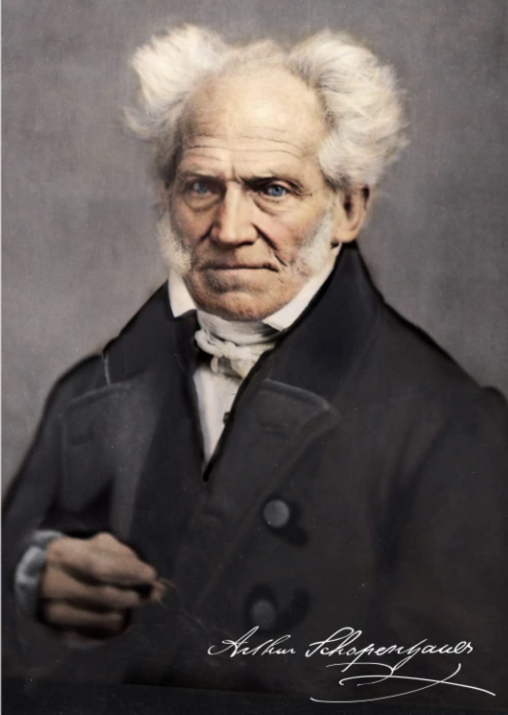 【希少品】ショーペンハウアー哲学の再構築 ショーペンハウアー哲学の再構築: 充足根拠律の四方向に分岐した