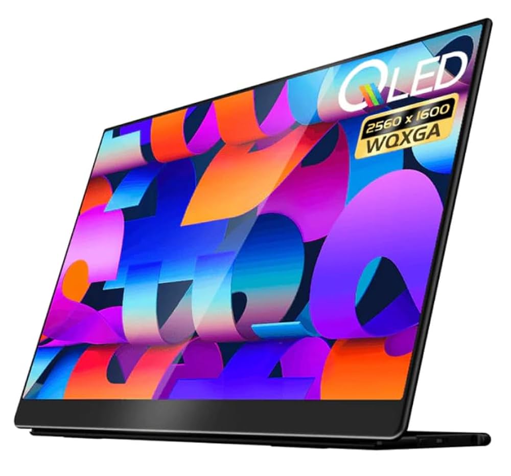 Portable Monitor 16.1インチ Amazon.com: EHOMEWEI Q1 16