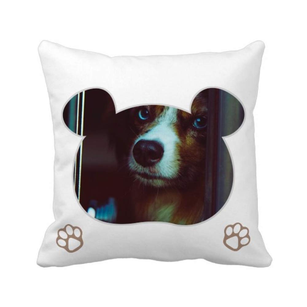 Funda de cojín para perro ideal para proteger el sofá con diseño de oso