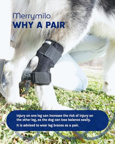 Image of Dog Leg Brace, Sigle Rear Hock & Ankle, Canine Hind Leg Joint Compression Wrap for Torn ACL & CCL, Injury and Sprain Protection, Wound Care and Loss of Stability, Left Leg, Size: M (1 Pack)