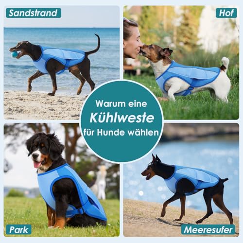 Katzinst Kühlweste für Hunde, Hundekühlweste mit Reflektierenden Streifen, Sonnenschutz Sommer Leichte Atmungsaktive, Spazierengehen Wandern, Kühlweste für Mittelgroße Hunde,Beagle,Blau XL