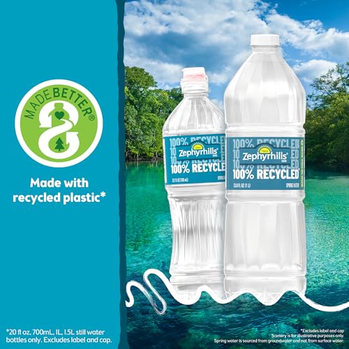 Image of Zephyrhills Florida Spring Bottled Water - 24 Pack, 16.9 Fl Oz