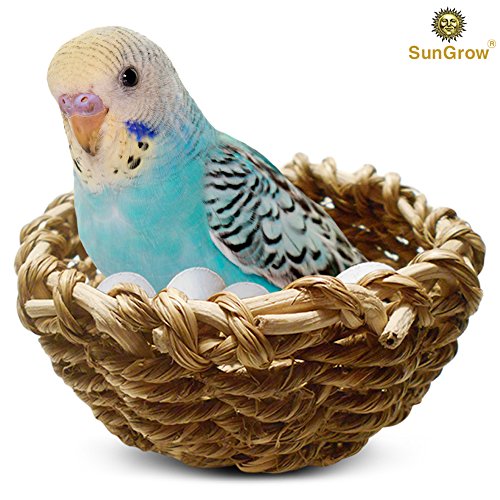 SunGrow Seagrass Nest for Birds, Approximately 4 Inches in Diameter, Encourages Courtship, Breeding