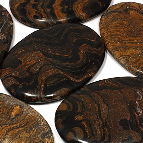CrystalAge Stromatolite Palm Stone ~70x50mm