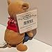 WINNIE THE POOH Disney Bean Bag Plush - Picnic Pooh (8 inch)