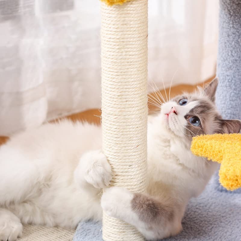 Arbre à chat bleu Xingyue résistant pour protéger vos meubles