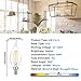 TOBUSA Dimmable E12 Candelabra LED Bulbs 60 Watt Incandescent Equivalent, 5000K Daylight White, Clear Filament Chandelier Light Bulbs 6W, 600lm, CA11 Vintage Ceiling Fan Light Bulbs with Flame Tip