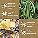 GRELIM Vanilla Bean Powder, 100% Pure Ground Madagascar Vanilla Powder Gluten-Free No Fillers or Additives Great for Baking, Coffee, Smoothies 2.11 Oz (60 g)