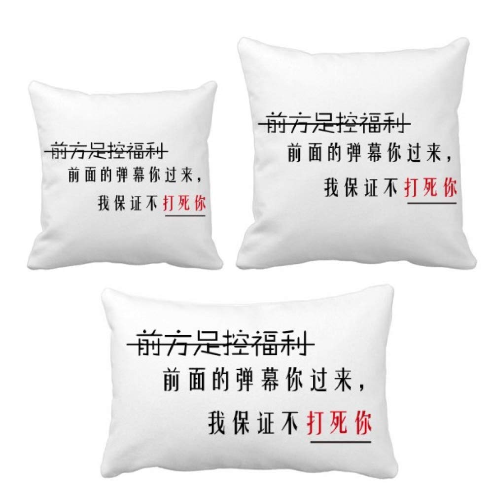 Coussin mots chinois DIYthinker idéal pour un coin lecture zen et moderne