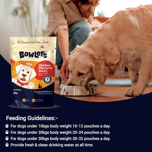 Image of Bowlers Adult Wet Dog Food | Chicken Platter in Gravy |80 GMS (Pack of 6)| Gluten Free | Supports Hydration | Smooth Digestion & Healthy Coat | Shelf Life 24 Months