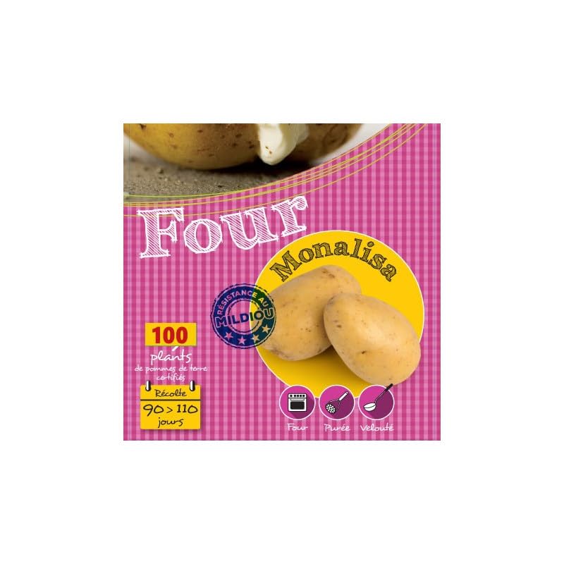 Monalisa 100 - Planta de patata
