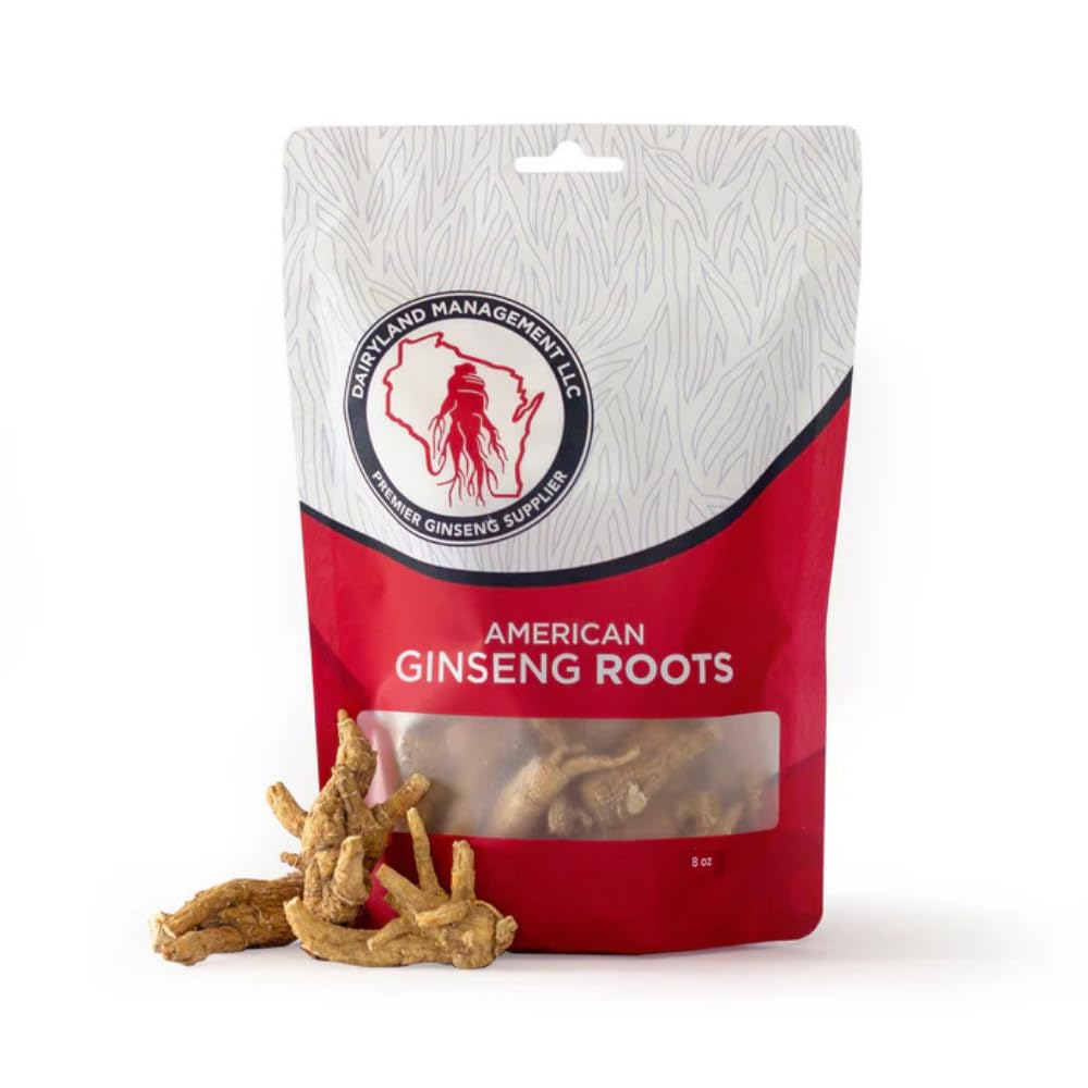 Dairyland American Ginseng Roots 西洋参 - 8 oz Pack of Wisconsin Ginseng Root - Authentic American Ginseng - Non-GMO, Gluten Free Whole Ginseng - Use This Herbal Supplement in Soup, Tea, Congee