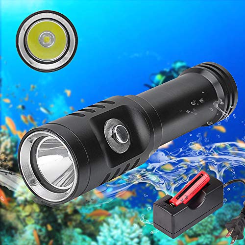 WINDFIRE Scuba Diving Flashlight Dive Torch Light Rechargeable-3 Modes 1200 Lumens Underwater 100m