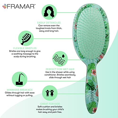 Framar Wet Hair Brush For Curly Hair – Detangle Brush Hair, Womens Hair Brush Wet, Detangling Brush For Curly Hair, Green #TOP1