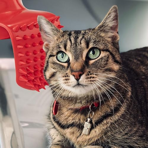 Cat Lover Lick Tongue Brush – A Ridiculously Hilarious Grooming Gag Gift