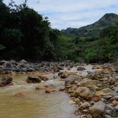 El r&iacute;o que brilla de veneno (Ep. 2) | El tesoro que dej&oacute; sed