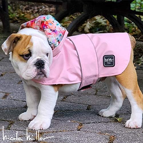floral dog coat