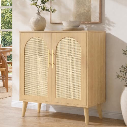 Keehusux 15.7 D Rattan Storage Cabinet with 2 Doors & Adjustable Shelf
