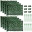 Green-8pc