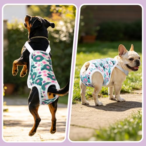 Image of Jollywoods 3 Pack Washable Female Dog Diapers with Adjustable Suspender | French Bulldog Period Panties, Escape Proof Dog Underwear Female, Super Absorbent Leakproof for Dog in Heat Cycle M